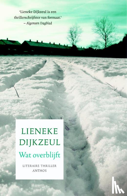 Dijkzeul, Lieneke - Wat overblijft