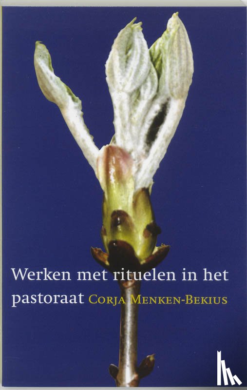 Menken-Bekius, c. - Werken met rituelen in het pastoraat