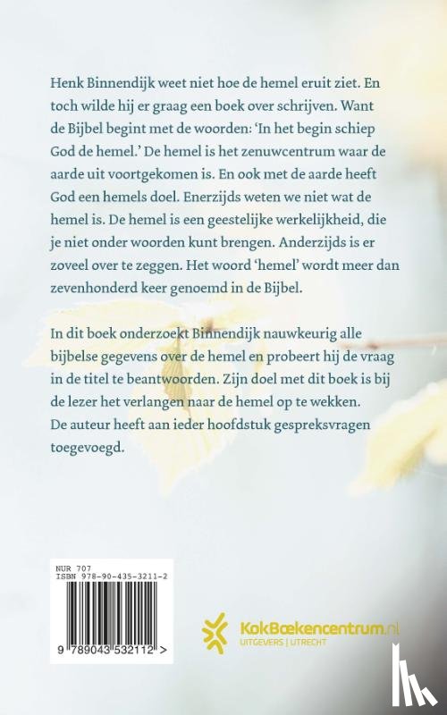 Binnendijk, Henk - Hoe ziet de hemel eruit?