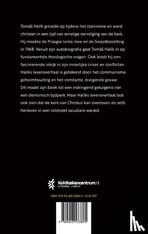 Halik, Tomas, Wildt, Kees de - In het geheim geloven