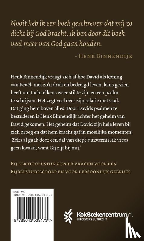 Binnendijk, Henk - Het geheim van David