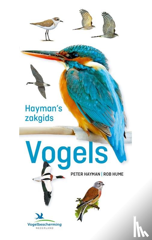 Hayman, Peter, Hume, Rob - Hayman's Zakgids Vogels