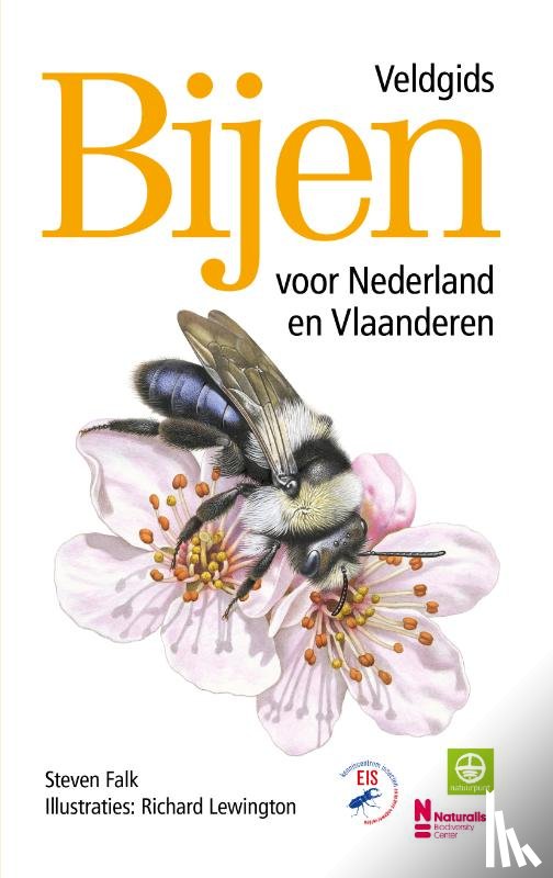 Lewington, Richard, Falk, Steven - Bijen - Veldgids voor Nederland en Vlaanderen