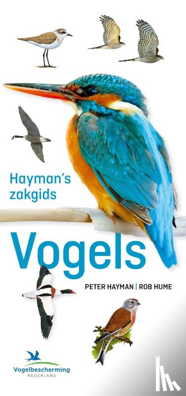 Hayman, Peter, Hume, Rob - Hayman's zakgids Vogels