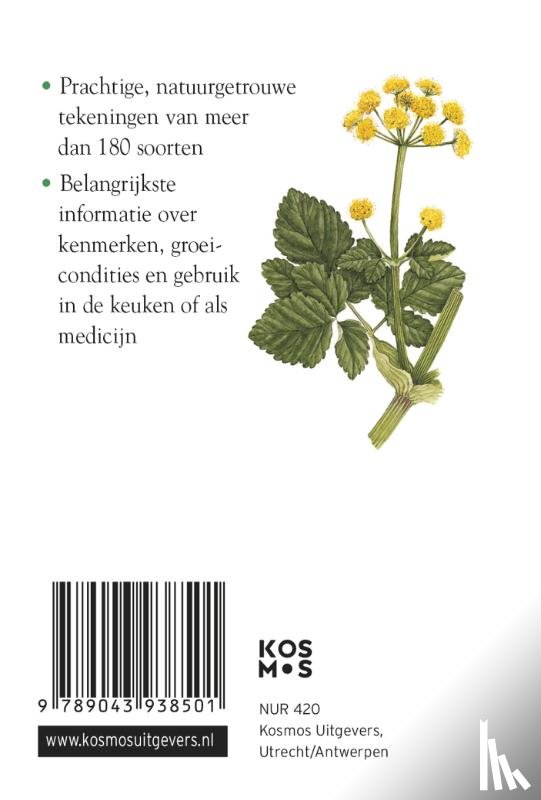 Redactie - Compactgids Kruiden