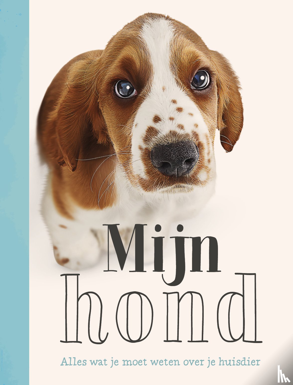 French, Jess - Mijn hond