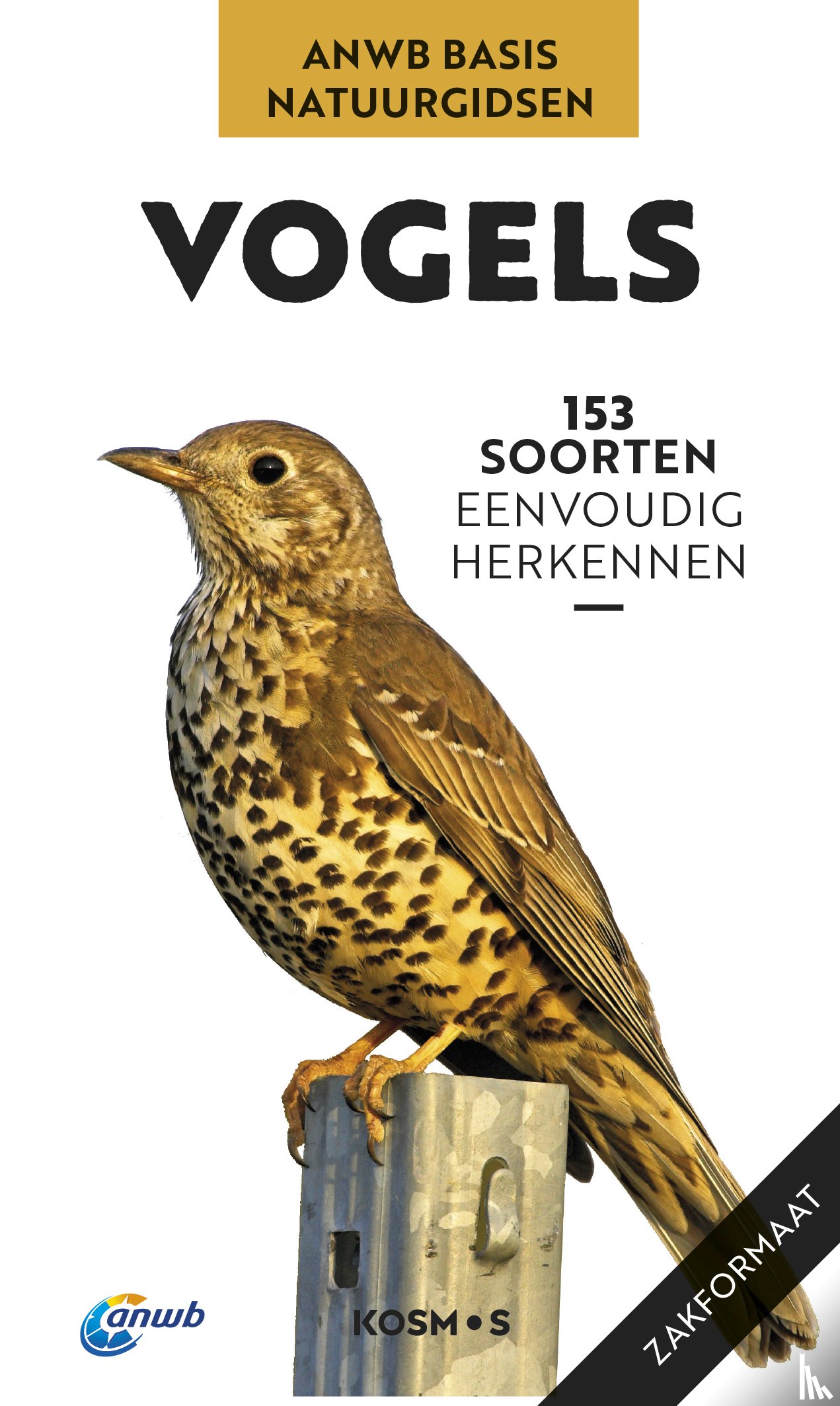Dierschke, Volker - Vogels