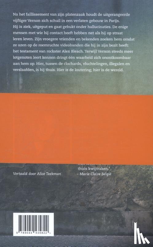 Despentes, Virginie - LEVEN VAN VERNON 2