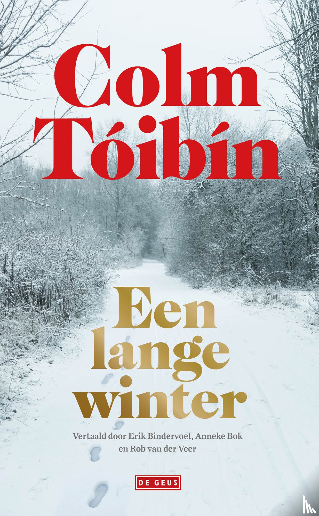 Tóibín, Colm - Een lange winter