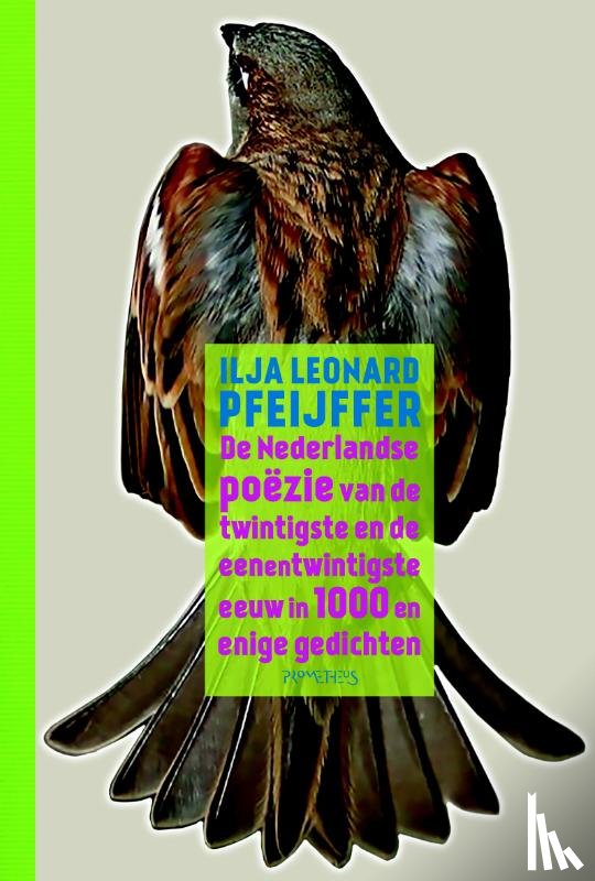 Pfeijffer, Ilja Leonard - De Nederlandse poëzie van de twintigste en de eenentwintigste eeuw in 1000 en enige gedichten