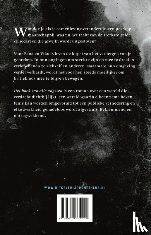 Koopman, Emy - Het boek van alle angsten