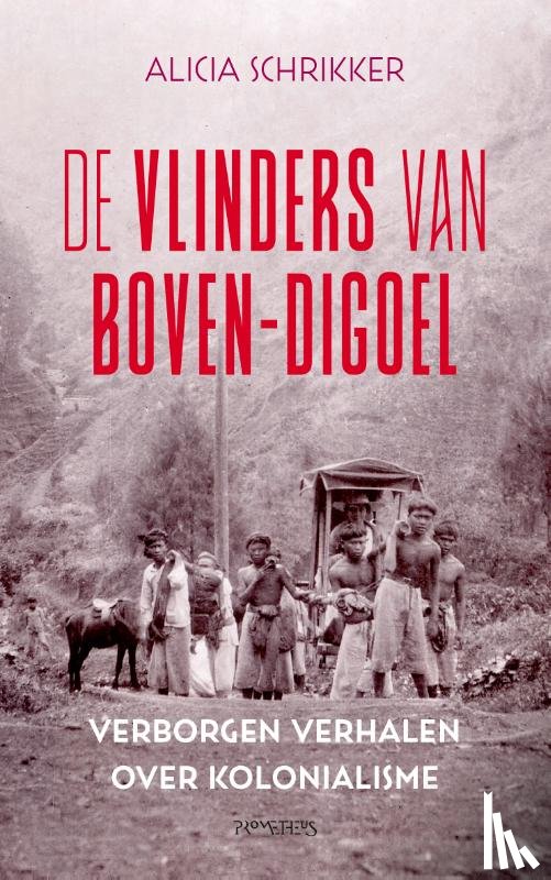 Schrikker, Alicia - De vlinders van Boven-Digoel