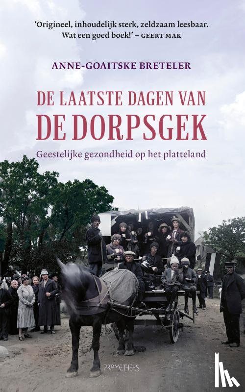 Breteler, Anne-Goaitske - De laatste dagen van de dorpsgek