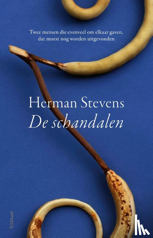 Stevens, Herman - De schandalen
