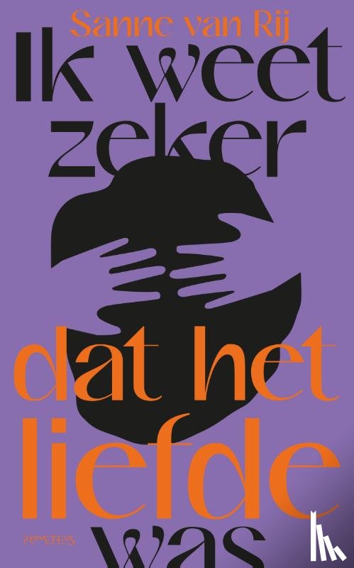 Rij, Sanne van - Ik weet zeker dat het liefde was