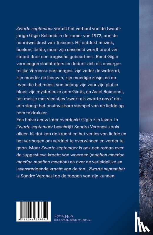 Veronesi, Sandro - Zwarte september