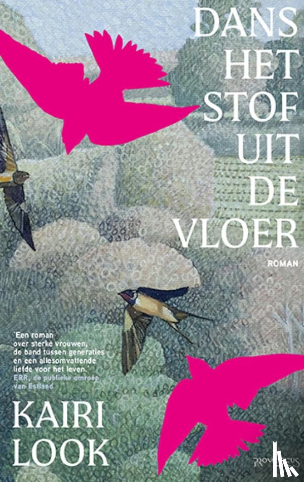 Look, Kairi - Dans het stof uit de vloer
