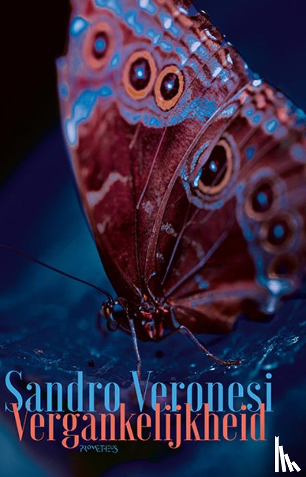 Veronesi, Sandro - Vergankelijkheid