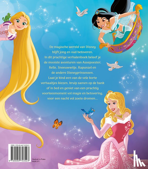  - Het magische 1-minuut verhalenboek Prinses