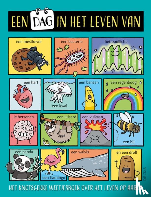  - Een dag in het leven van