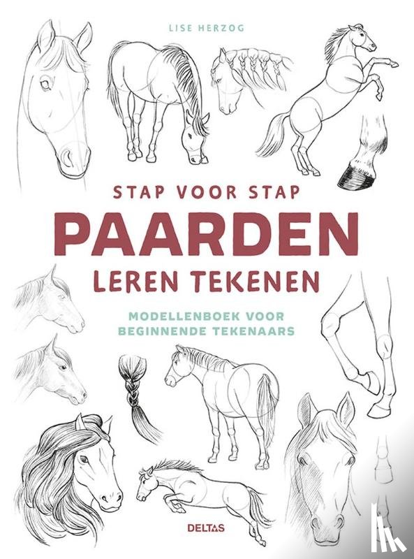 HERZOG, Lise - Stap voor stap paarden leren tekenen