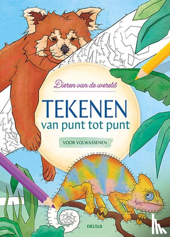  - Tekenen van punt tot punt voor volwassenen