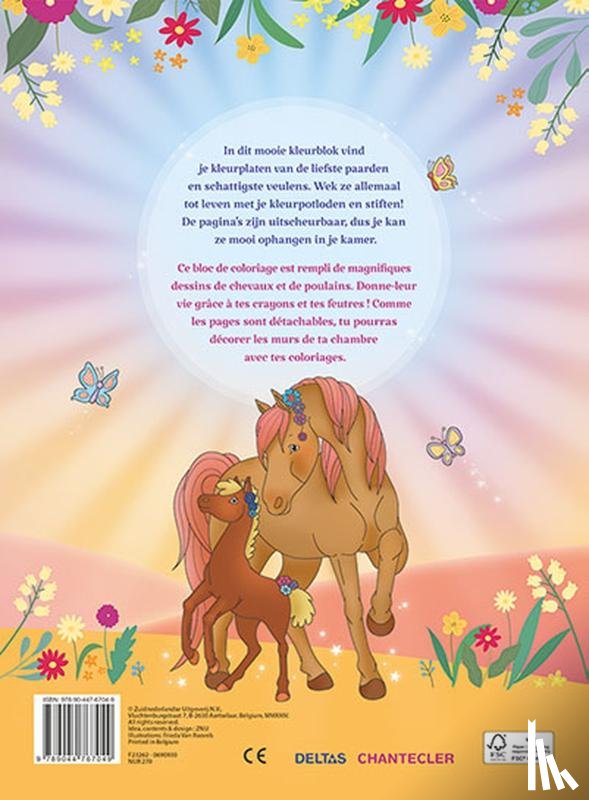 ZNU - Ik hou van paarden kleurblok / J'aime les chevaux bloc de coloriage