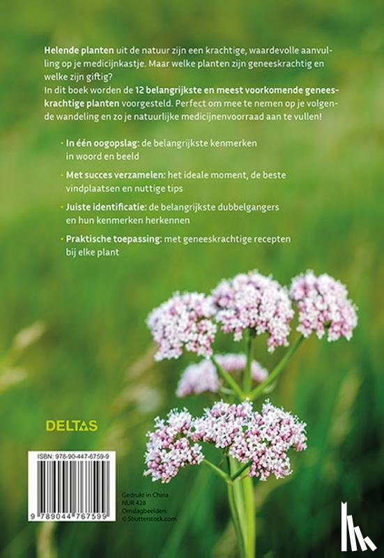 Hecker, Katrin - Geneeskrachtige planten herkennen en gebruiken