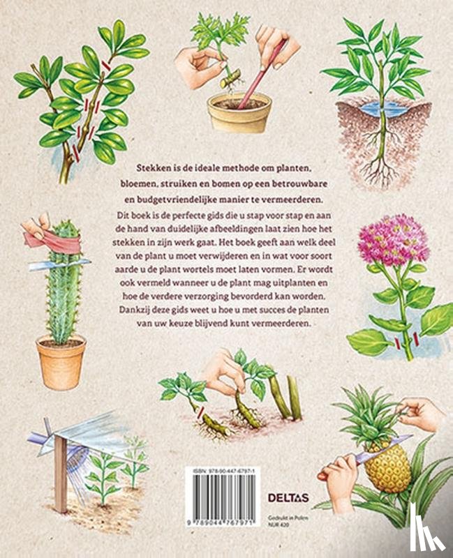 PAGE, ROSENN LE - Handboek stekken van A tot Z
