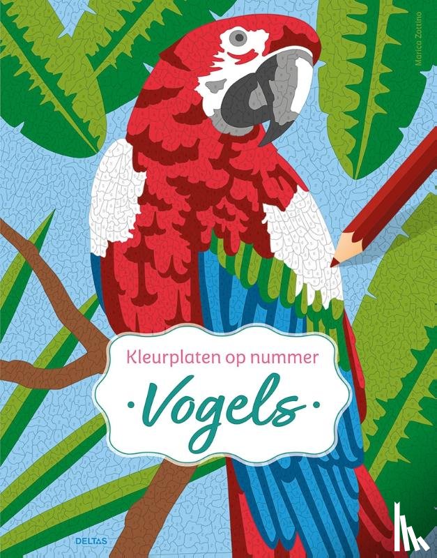 ZOTTINO, MARICA - Vogels - Kleurplaten op nummer