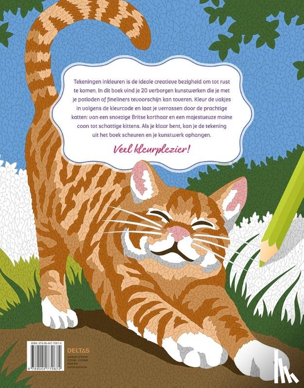 Zottino, Marica - Katten - Kleurplaten op nummer