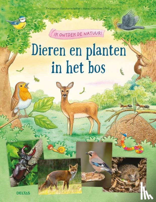 REICHENSTETTER, FRIEDERUN - Ik ontdek de natuur! Dieren en planten in het bos