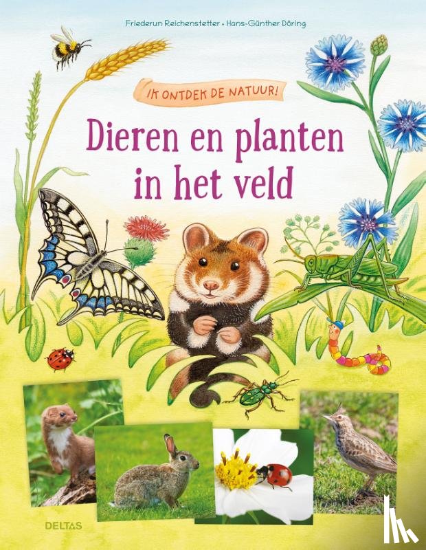 REICHENSTETTER, FRIEDERUN - Ik ontdek de natuur! Dieren en planten in het veld