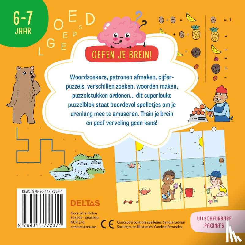 Lebrun, Sandra - Oefen je brein! Leerrijke spelletjes 6-7 jaar
