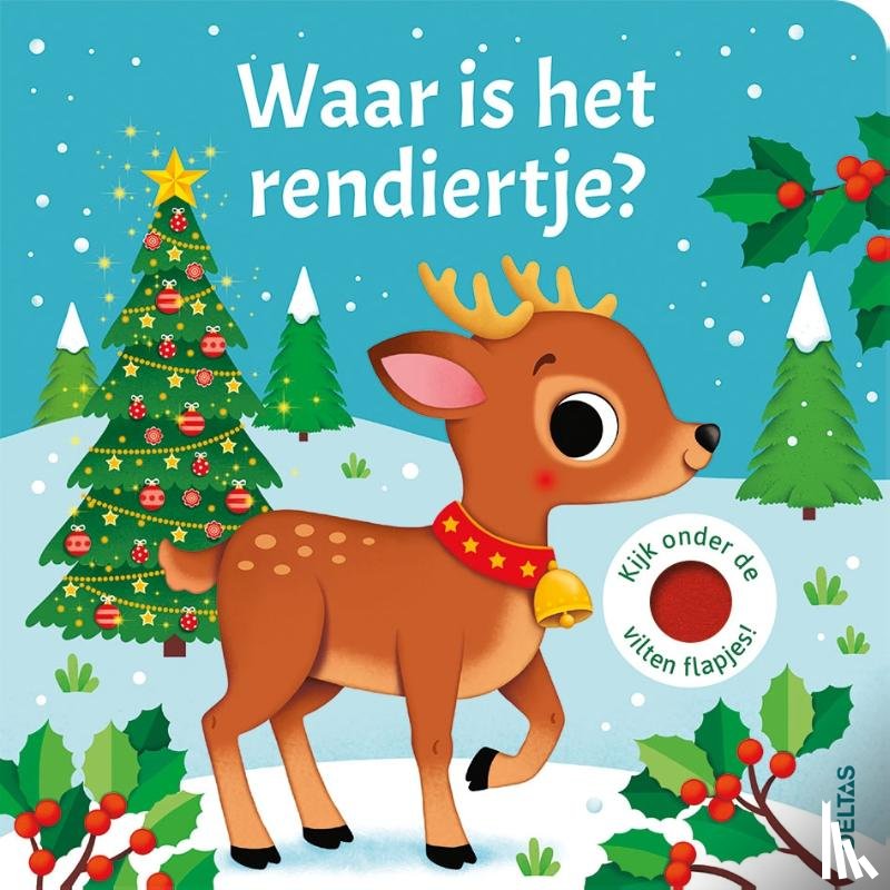  - Waar is het rendiertje?