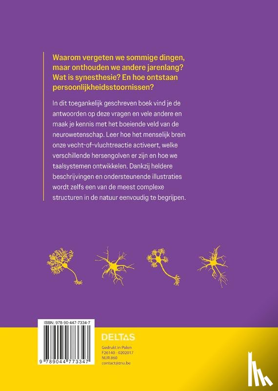  - Het brein eenvoudig uitgelegd