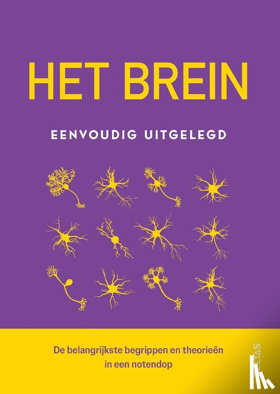  - Het brein eenvoudig uitgelegd