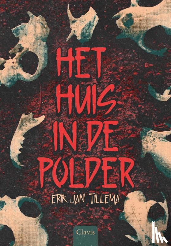 Tillema, Erik Jan - Het huis in de polder