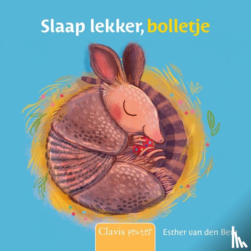 Berg, Esther van den - Slaap lekker, bolletje