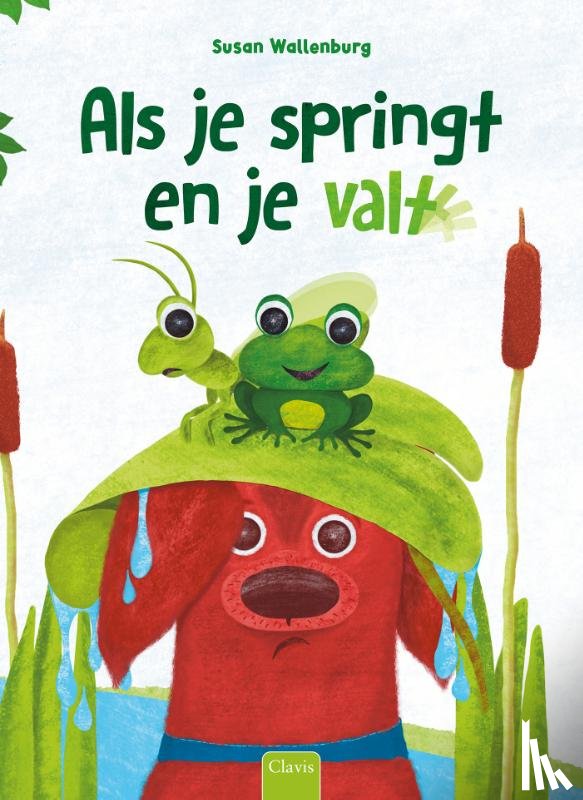 Wallenburg, Susan - Als je springt en je valt