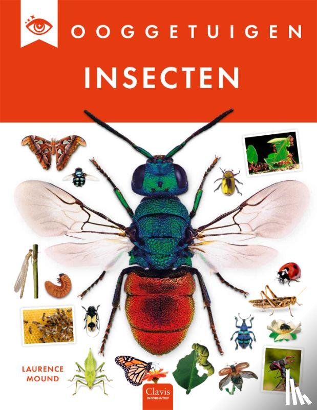 Mound, Laurence - Insecten