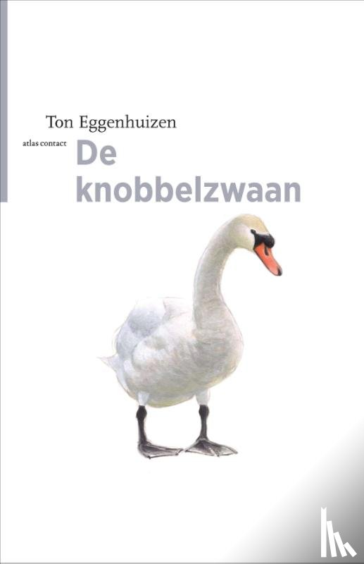 Eggenhuizen, Ton - De knobbelzwaan