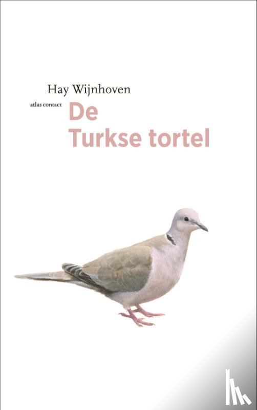 Wijnhoven, Hay - De Turkse tortel