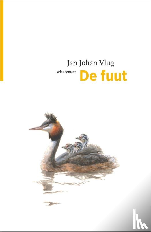 Vlug, Jan Johan - De fuut