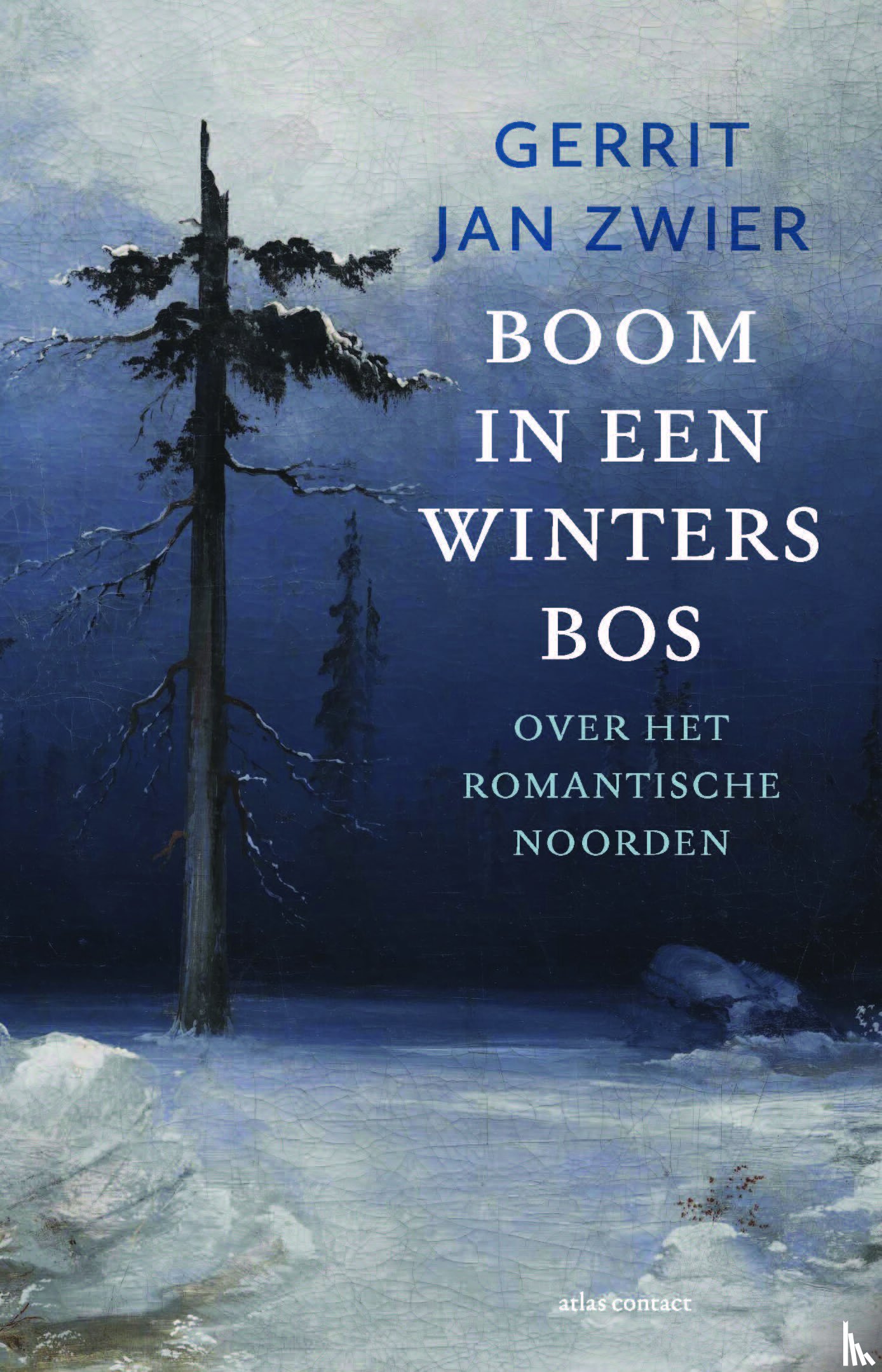 Zwier, Gerrit Jan - Boom in een winters bos