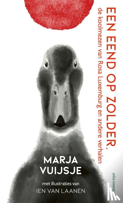 Vuijsje, Marja - Een eend op zolder