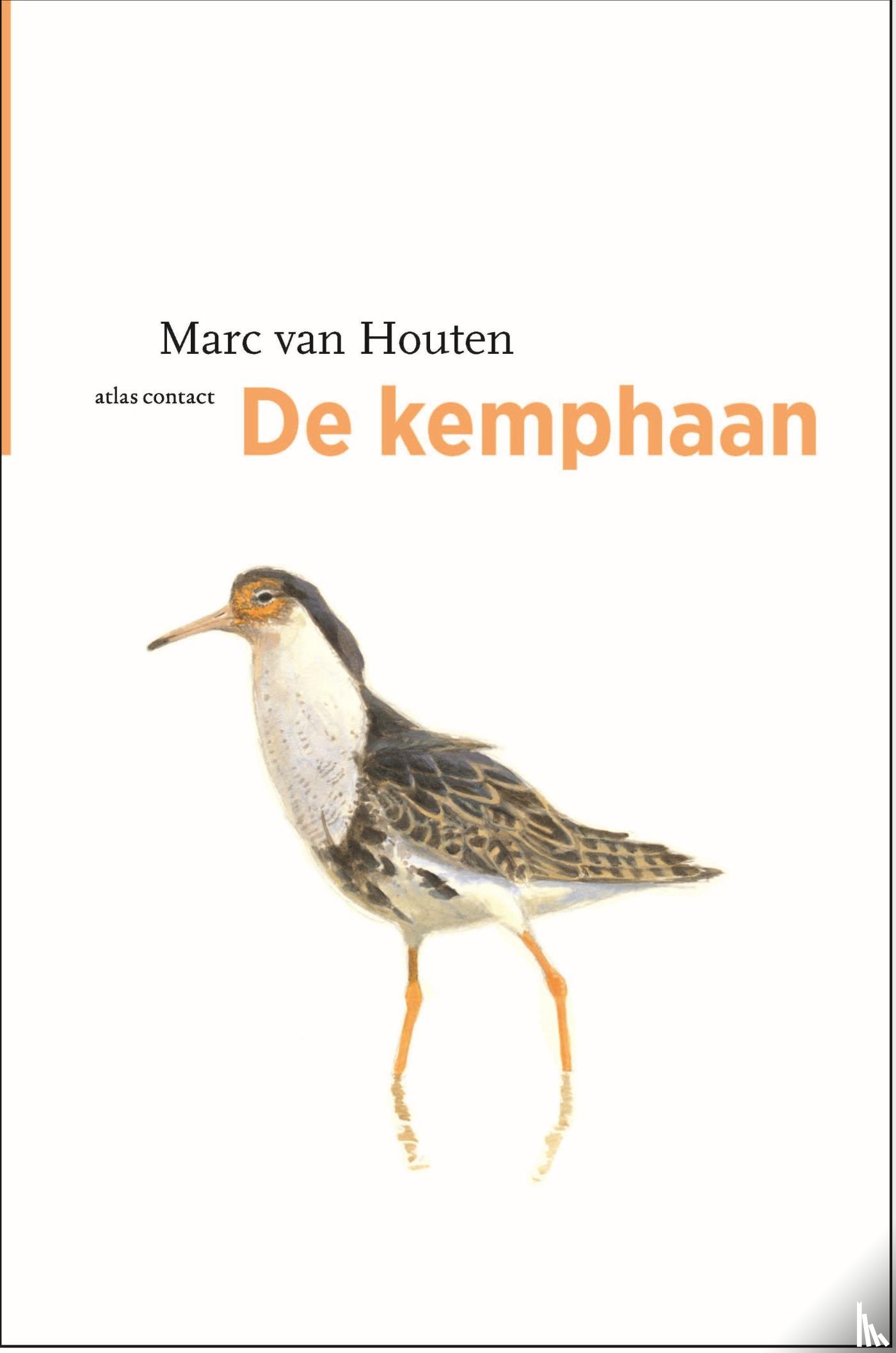 Houten, Marc van - De kemphaan