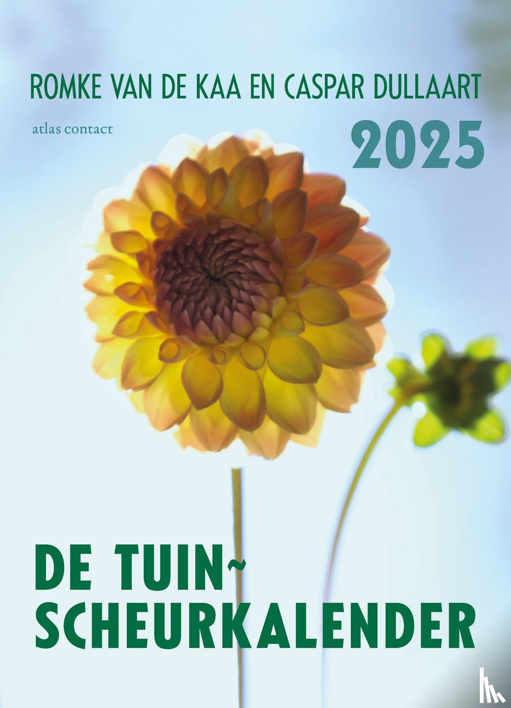 Kaa, Romke van de, Dullaart, Caspar - 2025