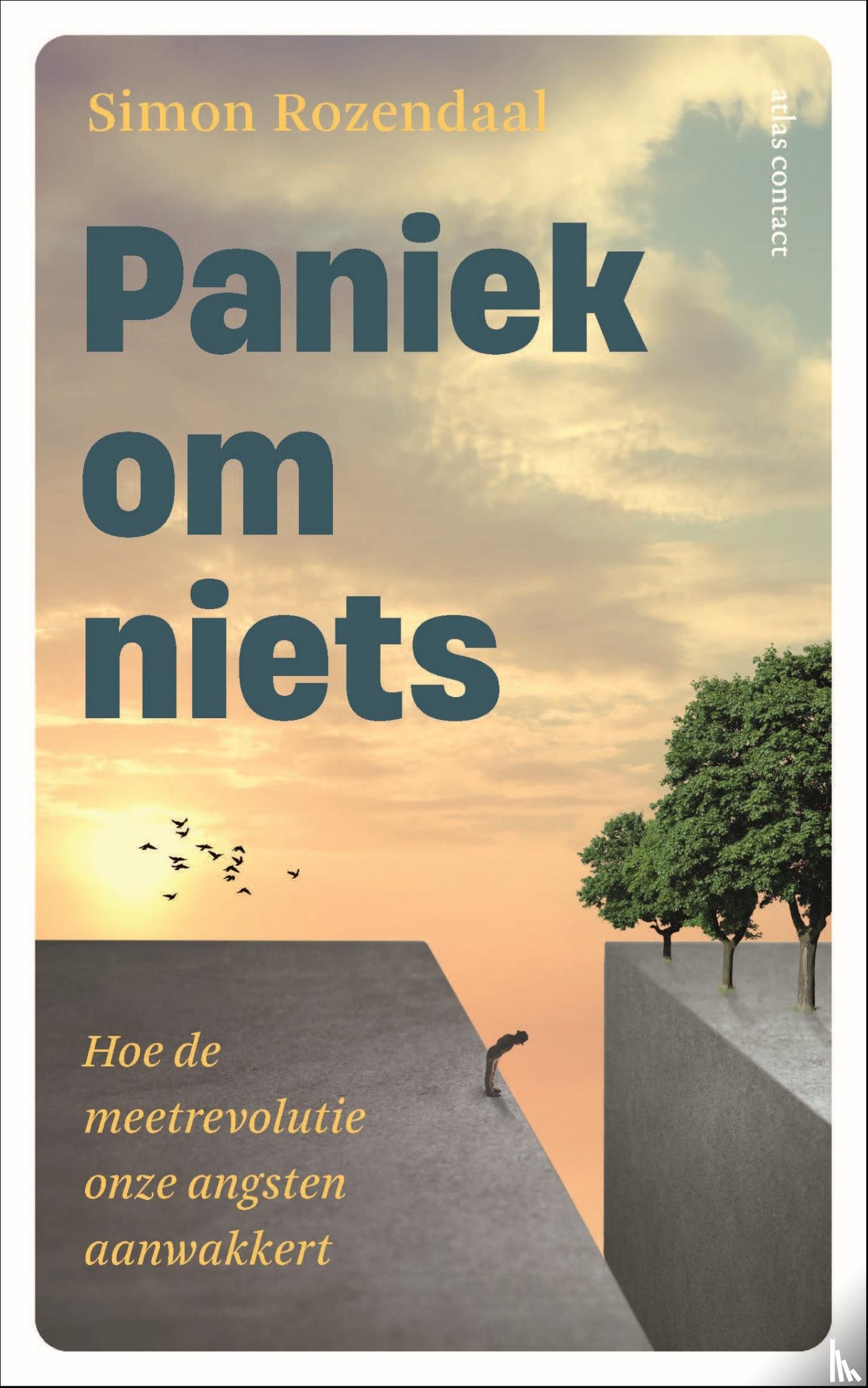 Rozendaal, Simon - Paniek om niets