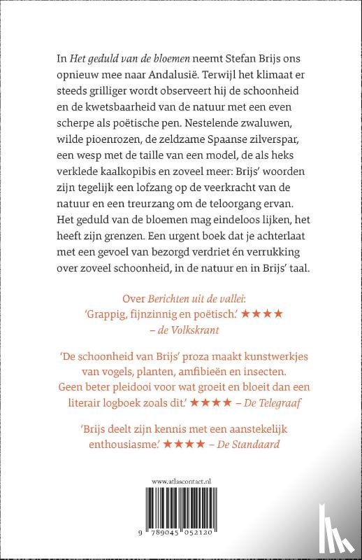 Brijs, Stefan - Het geduld van de bloemen
